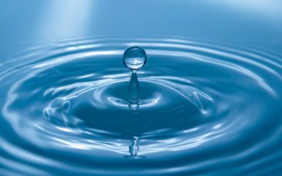 Low-Income Water Assistance