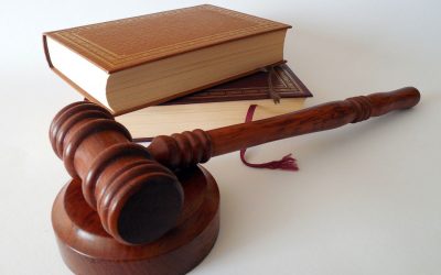 Adopted Local Law 2 of 2024 – Solar Energy Systems Law